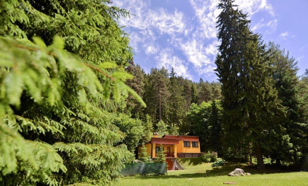 Lodge Monika Jasna *